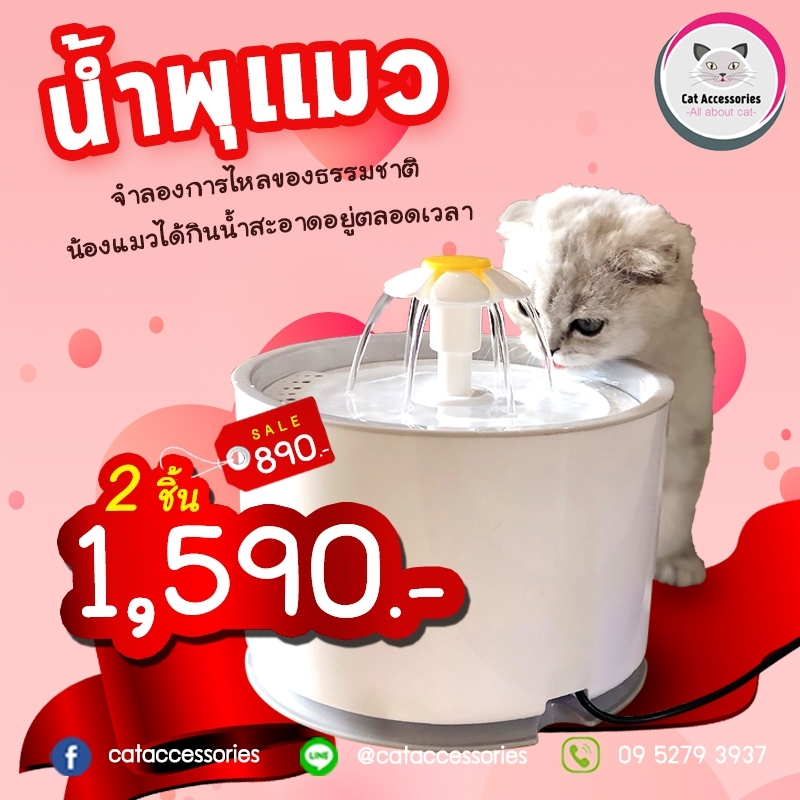 น้ำพุแมว